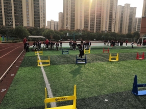QQ图片20191222100528