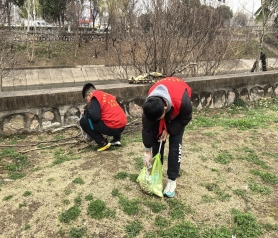 QQ图片20250319100313