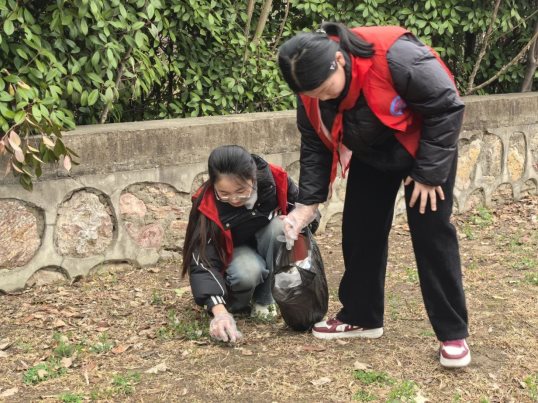 QQ图片20250319100453